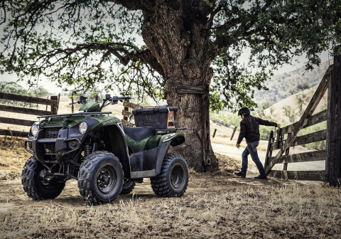 Brute Force 750 4x4i EPS Camo<